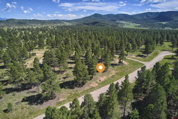 1480 TRAILS BLVD, PAGOSA SPRINGS, CO 81147 - Image 1