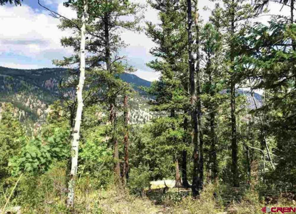 LOT 65 RED MOUNTAIN ROAD, LAKE CITY, CO 81235, photo 1 of 12