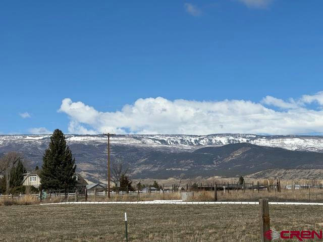 21030 NORTH RD, ECKERT, CO 81418, photo 1 of 19