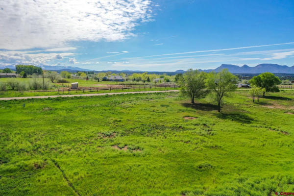 LOT 19 ROAD 28.3, DOLORES, CO 81323, photo 4 of 18