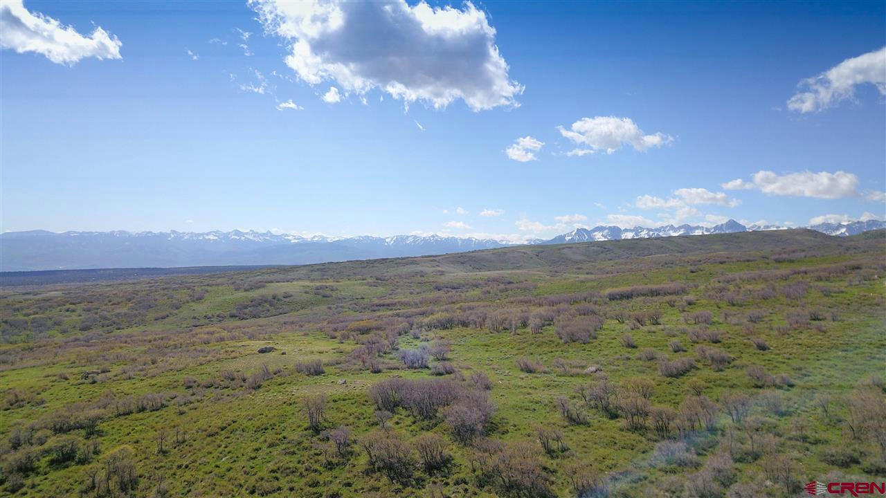 1115 CORNERSTONE LOOP, MONTROSE, CO 81403, photo 1 of 21