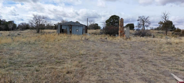 51981 HIGHWAY 491, CAHONE, CO 81320, photo 3 of 14