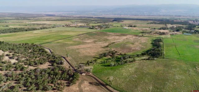 TBD FRUITLAND MESA ROAD, CRAWFORD, CO 81415, photo 2 of 24