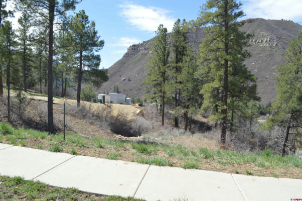 16 WILD CHIVES COURT (LOT 101), DURANGO, CO 81301, photo 3 of 16