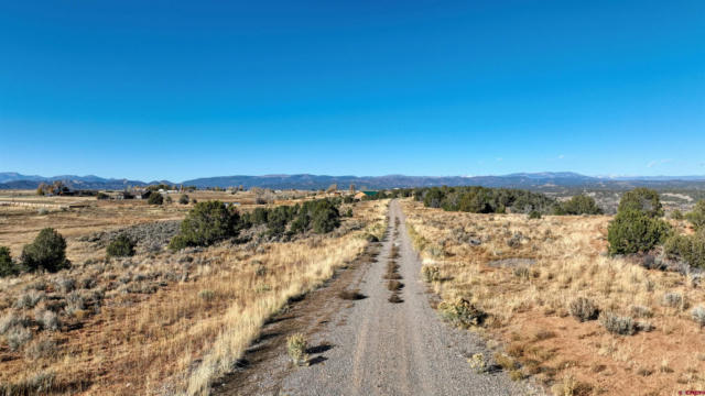 TBD COUNTY ROAD 308 (TRACT 1), DURANGO, CO 81303, photo 4 of 11