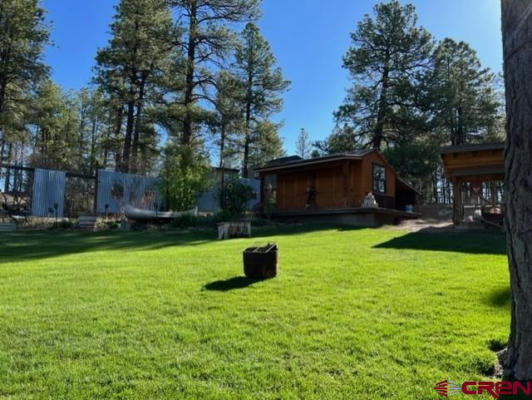 741 BUTTERCUP DR, PAGOSA SPRINGS, CO 81147, photo 3 of 21