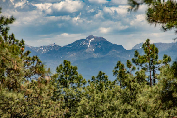 TBD BACKCOUNTRY DRIVE, PAGOSA SPRINGS, CO 81147 - Image 1