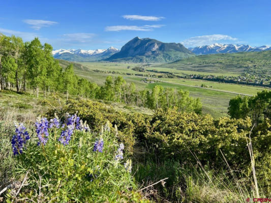 1190 RED MOUNTAIN RANCH RD, CRESTED BUTTE, CO 81224 - Image 1