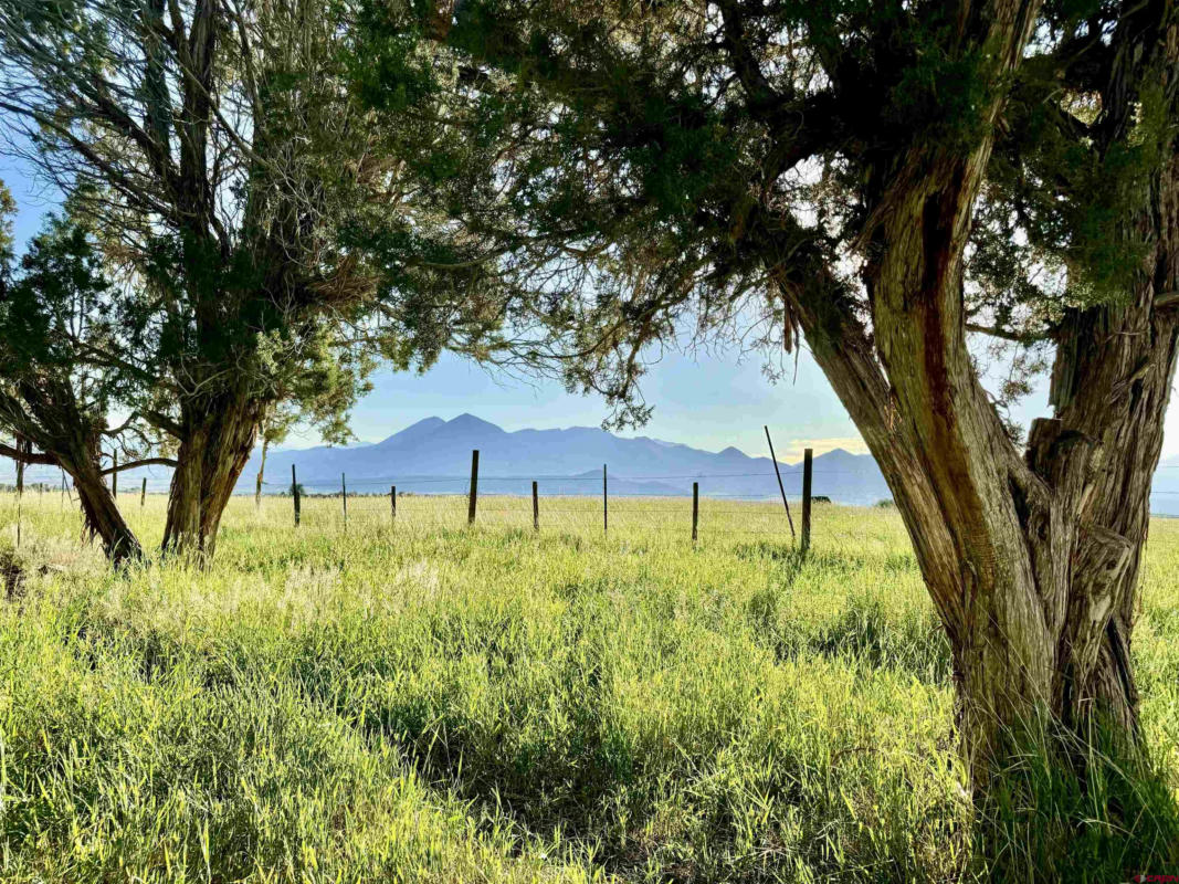 TBD FRUITLAND MESA ROAD, CRAWFORD, CO 81415, photo 1 of 24