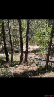 TBD CO RD 888, WHITE PINE, CO 81248, photo 5 of 10
