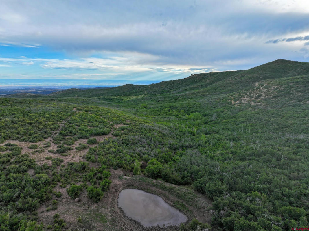 000 CURRANT CREEK ROAD, CEDAREDGE, CO 81413, photo 1 of 31