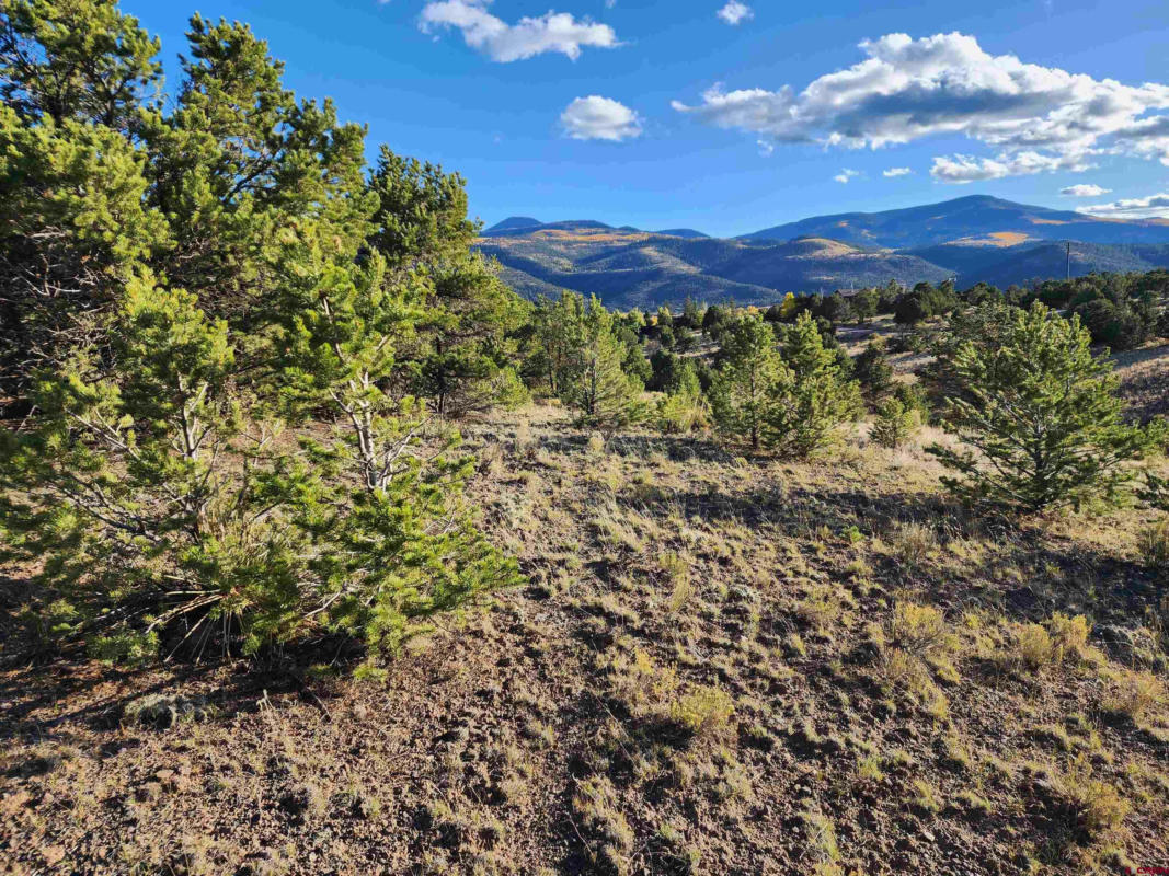 TBD ORONDOA RD, SOUTH FORK, CO 81154, photo 1 of 7