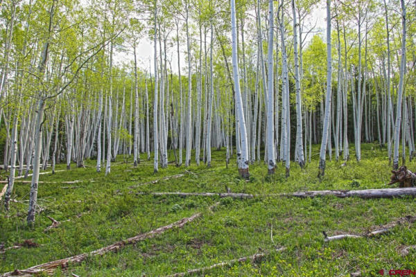 TBD HWY 141, GATEWAY, CO 81522, photo 4 of 22