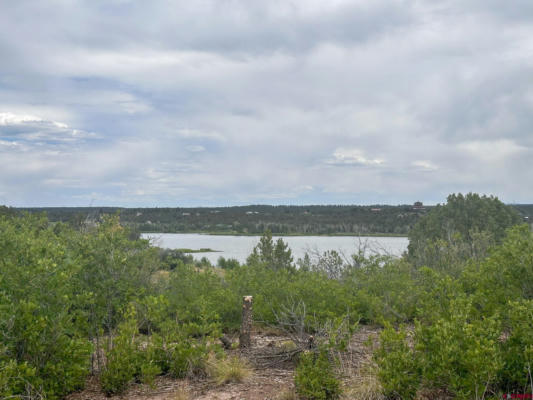 34949 ROAD P.2 LOOP, MANCOS, CO 81328, photo 2 of 10