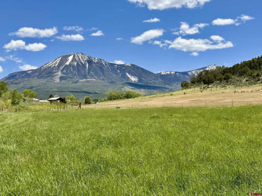 PARCEL D - TBD LAMBORN MESA ROAD, PAONIA, CO 81428, photo 2 of 22