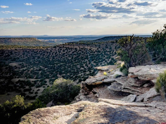 TBD ROAD W.2, PLEASANT VIEW, CO 81335 - Image 1