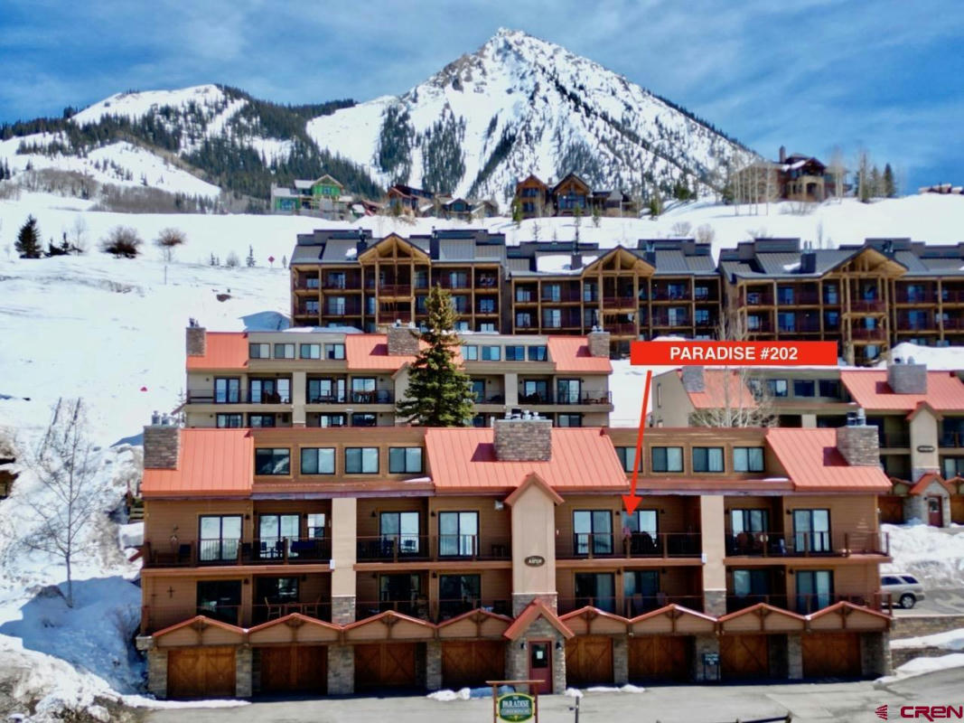 20 HUNTER HILL RD # 202, MT. CRESTED BUTTE, CO 81225, photo 1 of 25