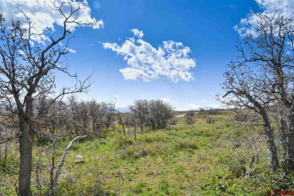 1115 CORNERSTONE LOOP, MONTROSE, CO 81403, photo 5 of 21