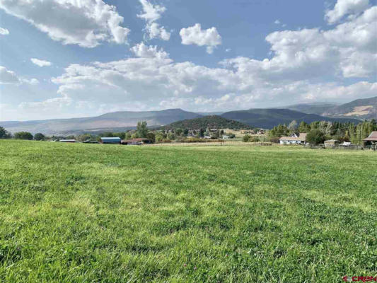 PARCEL D - TBD LAMBORN MESA ROAD, PAONIA, CO 81428, photo 5 of 22