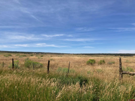80 AC TBD 42ZS ROAD, NORWOOD, CO 81423, photo 3 of 13