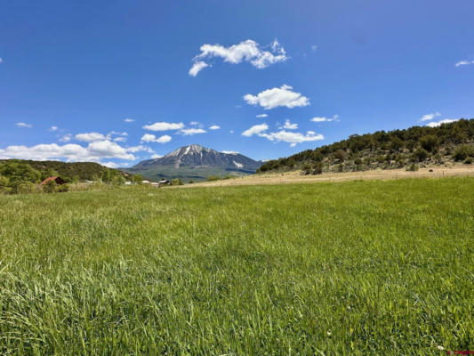 PARCEL D - TBD LAMBORN MESA ROAD, PAONIA, CO 81428, photo 4 of 22