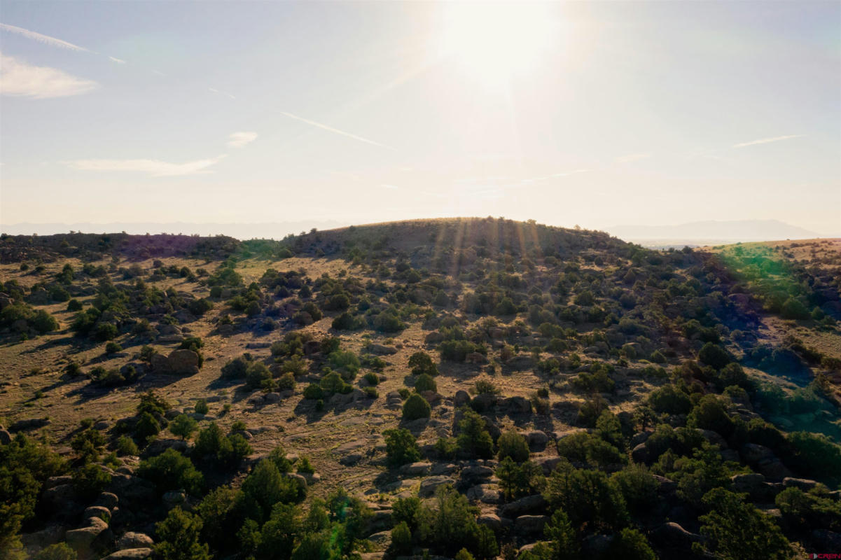 TRACT 31A PRONGHORN TRAIL, DEL NORTE, CO 81132, photo 1 of 7