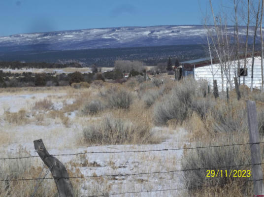TBD COUNTY ROAD X 45, NORWOOD, CO 81423, photo 3 of 16