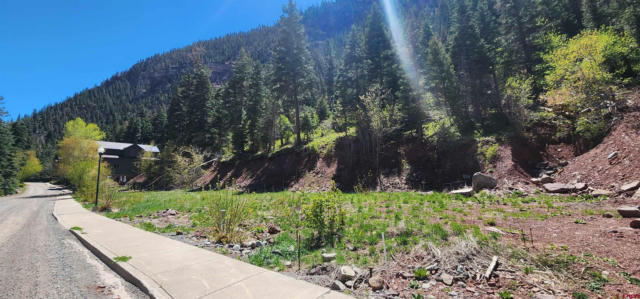 LOT 17 HINKSON TERRACE, OURAY, CO 81427, photo 3 of 3