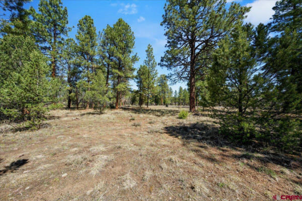 TBD LOT 430 S BADGER TRAIL, RIDGWAY, CO 81432, photo 4 of 14