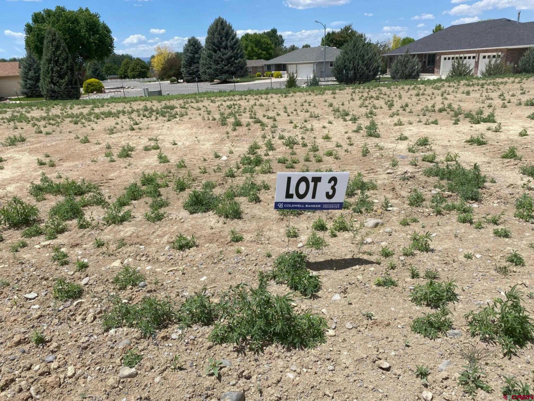 LOT 3 6700 ROAD, MONTROSE, CO 81401, photo 1 of 8