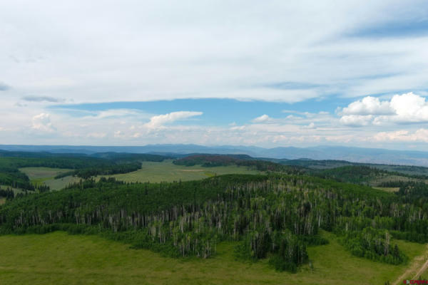 TBD ALPINE PLATEAU RD, CIMARRON, CO 81220 - Image 1