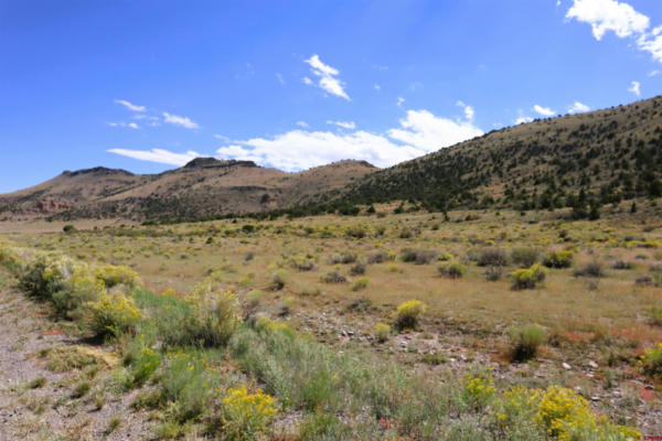 398 PRONGHORN HL, DEL NORTE, CO 81132, photo 5 of 9