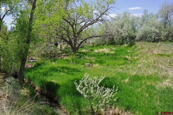 12225 ROAD 29, DOLORES, CO 81323, photo 3 of 20