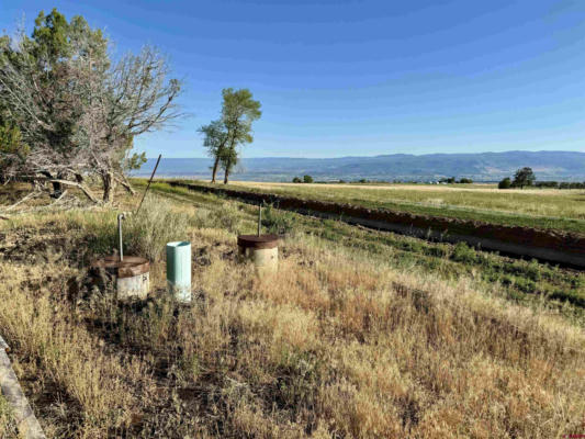 TBD FRUITLAND MESA ROAD, CRAWFORD, CO 81415, photo 3 of 24