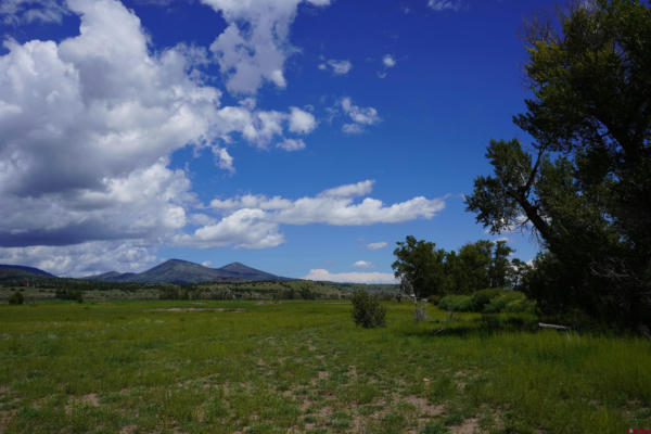 1690 RIVER ISLAND DRIVE, SOUTH FORK, CO 81154 - Image 1