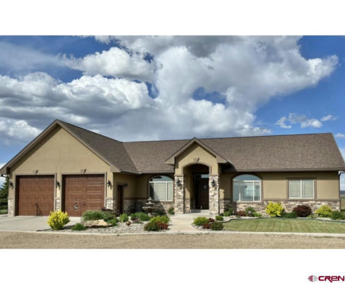 24600 HIGHWAY 491, PLEASANT VIEW, CO 81331 - Image 1