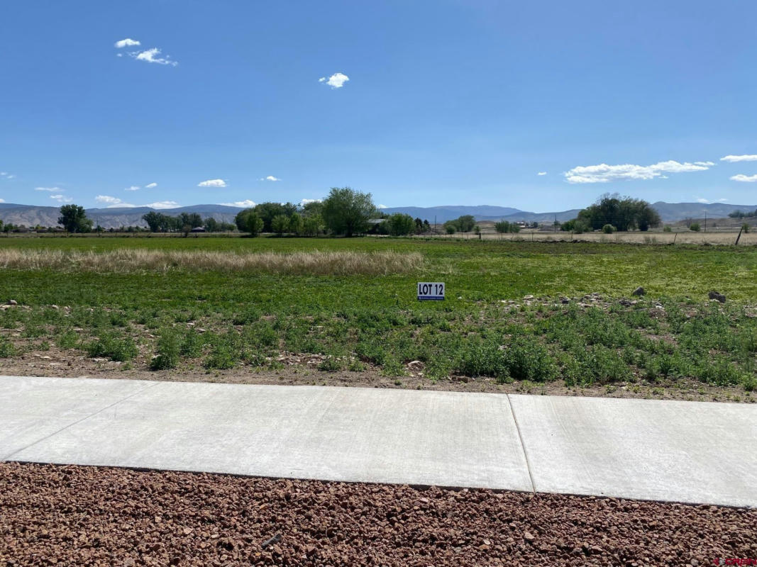 LOT 12 6700 ROAD, MONTROSE, CO 81401, photo 1 of 8