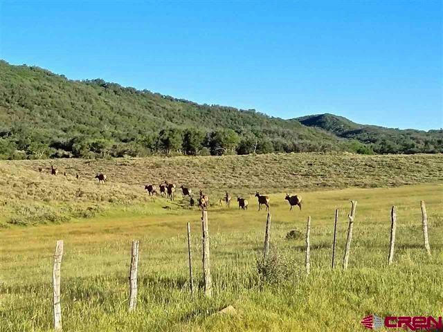 TBD LOT 1 ROAD H, GROUNDHOG, CO 81323, photo 1 of 11