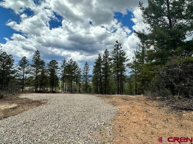 381 SUMMIT TRL, PAGOSA SPRINGS, CO 81147, photo 1 of 20