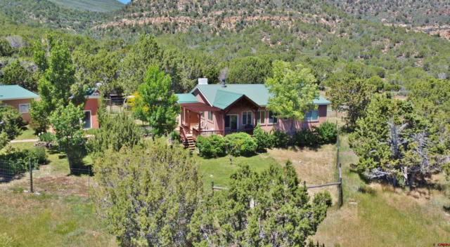 17440 FARMERS MINE RD, PAONIA, CO 81428 - Image 1