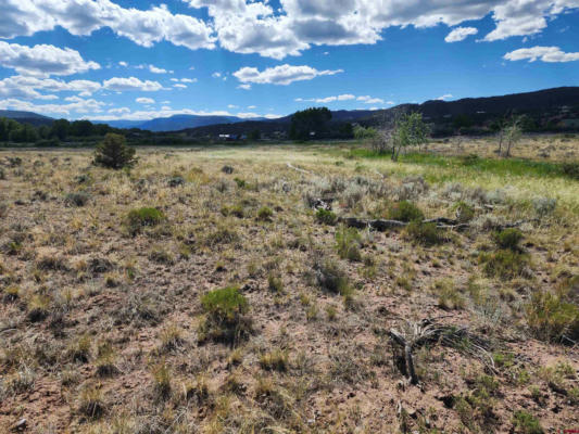 TBD RED FEATHER RD, SOUTH FORK, CO 81154 - Image 1
