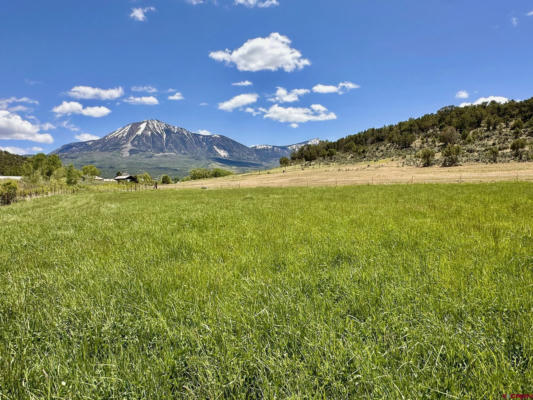 PARCEL D - TBD LAMBORN MESA ROAD, PAONIA, CO 81428, photo 3 of 22