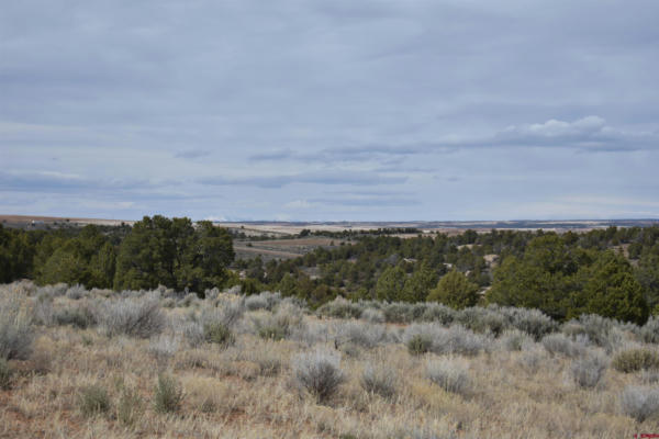 11425 ROAD 6.5, CAHONE, CO 81320, photo 4 of 21