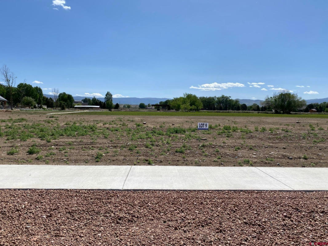 LOT 9 6700 ROAD, MONTROSE, CO 81401, photo 1 of 8