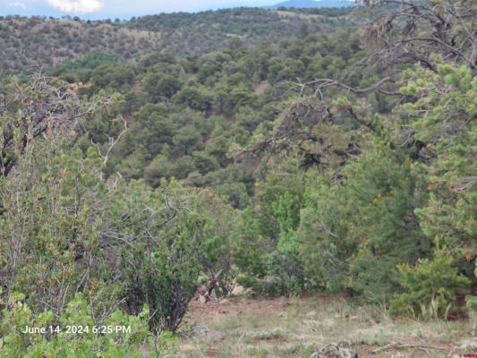 TBD PINON HILLS ROAD, SOUTH FORK, CO 81154 - Image 1