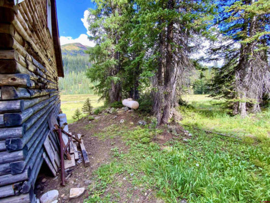 6887 FOREST SERVICE ROAD 317, MT. CRESTED BUTTE, CO 81225, photo 4 of 18