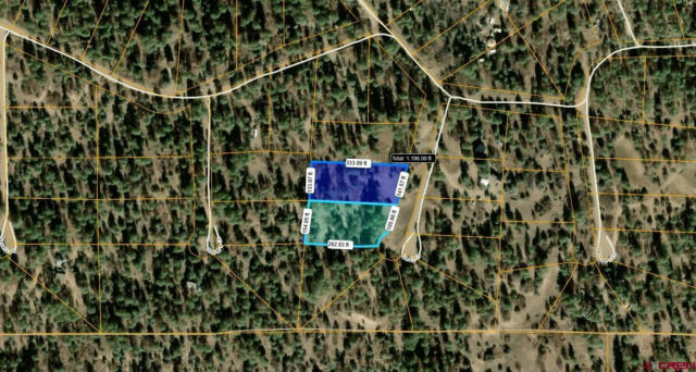 63 & 95 FRED'S COURT, PAGOSA SPRINGS, CO 81147 - Image 1
