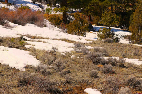 27 HILLSIDE LN, SOUTH FORK, CO 81154, photo 5 of 13