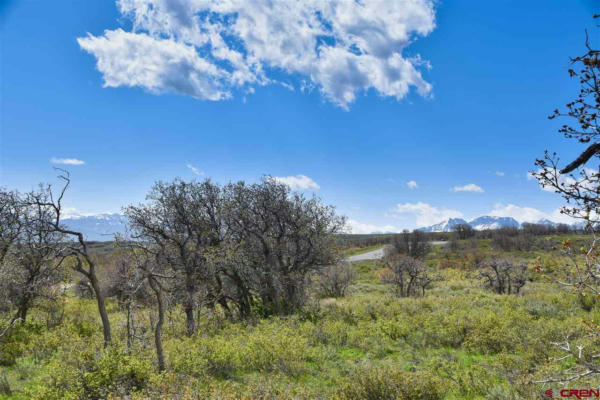 1115 CORNERSTONE LOOP, MONTROSE, CO 81403, photo 4 of 21