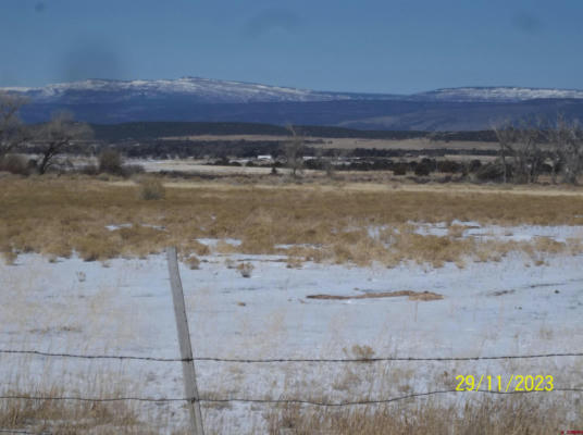TBD COUNTY ROAD X 45, NORWOOD, CO 81423, photo 4 of 16